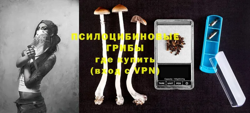 Галлюциногенные грибы MAGIC MUSHROOMS  наркошоп  Куровское 